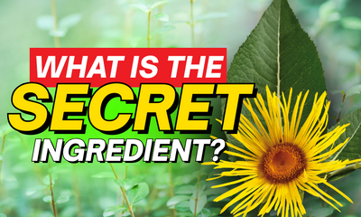 The Plant That Heals: What Is Inula AGS-RIED?