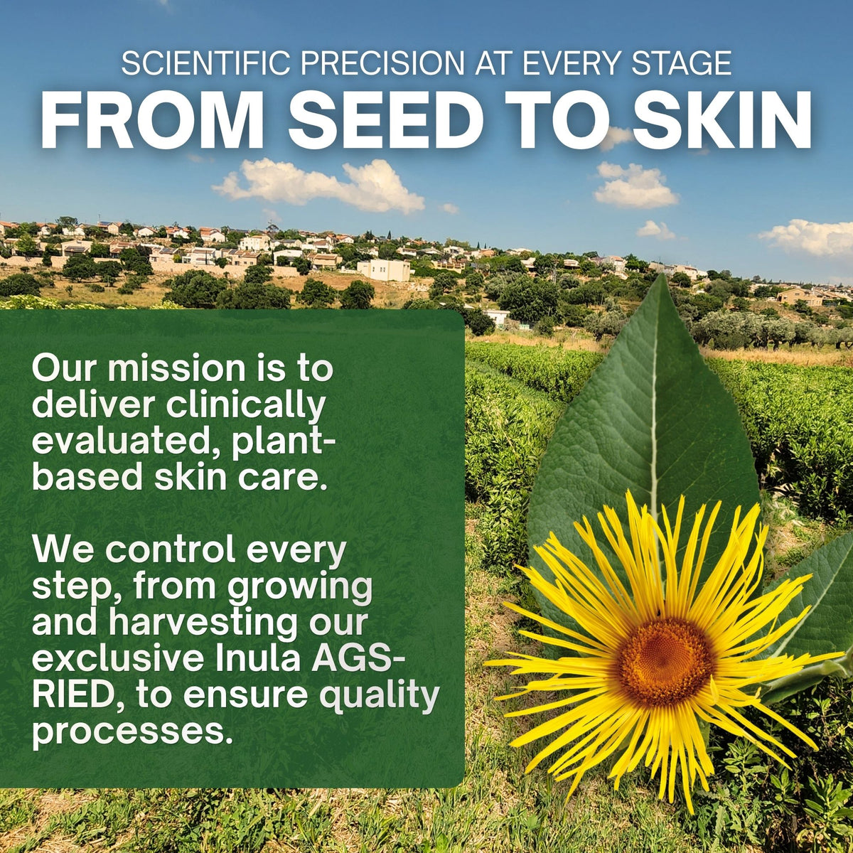 Multipurpose Wound Gel - 1oz