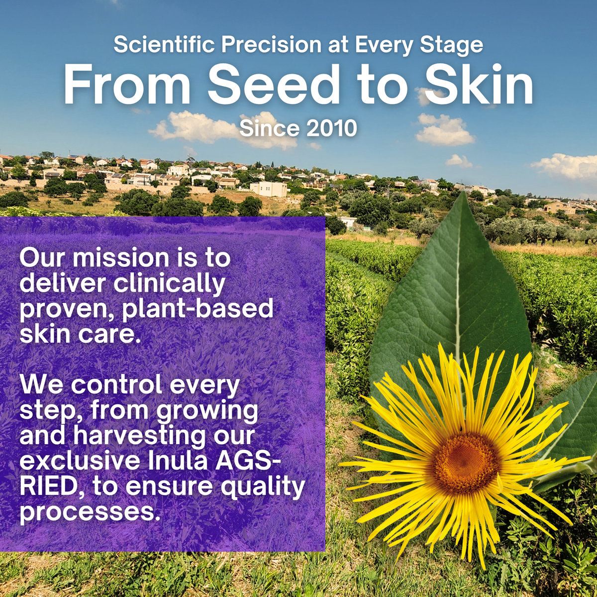 Post-Surgical Skin Barrier Gel - 1oz