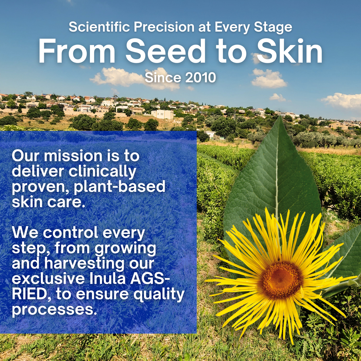 Diabetic Wound Therapy Gel - 1oz