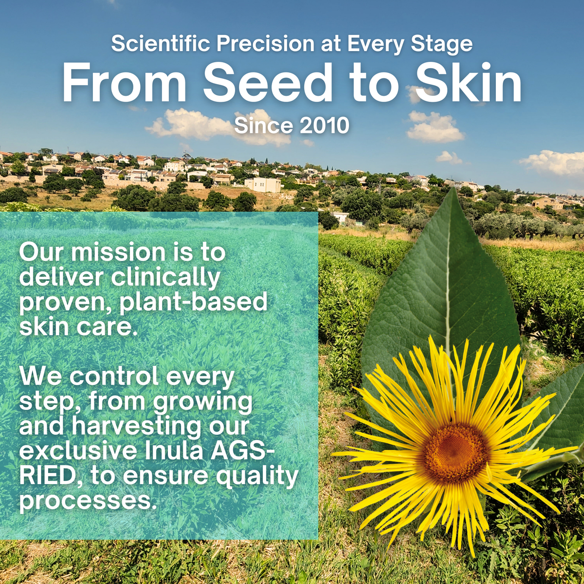 Diabetic Skin Barrier Cream - 3.4oz