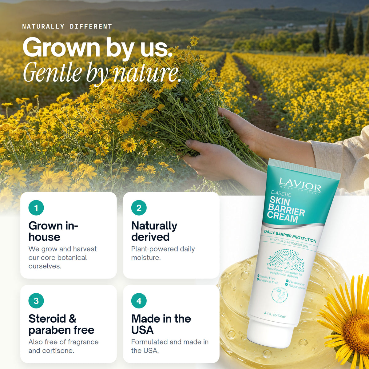 Lavior botanical field harvest: grown in-house, naturally derived, steroid and paraben free, made in the USA