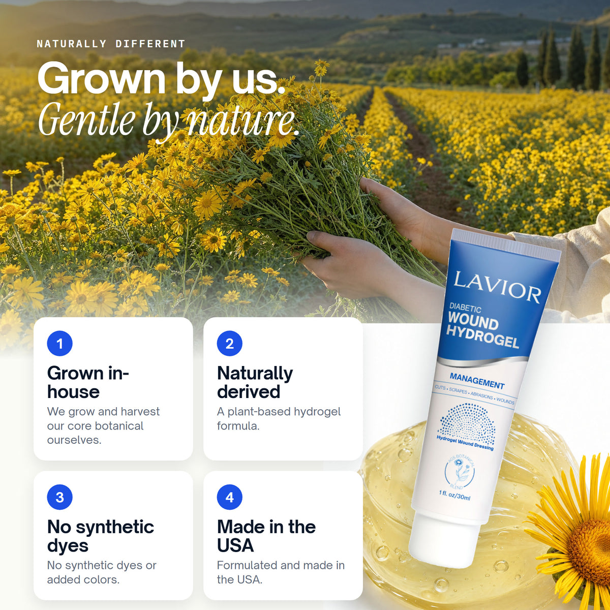 Lavior botanical field harvest: grown in-house, naturally derived, no synthetic dyes, made in the USA