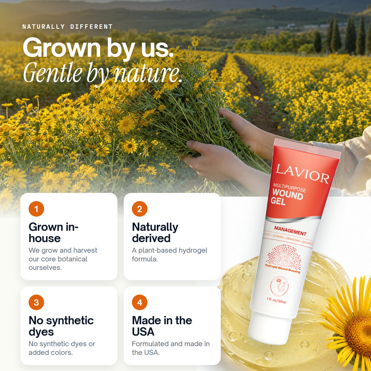 Lavior botanical field harvest: grown in-house, naturally derived, no synthetic dyes, made in the USA