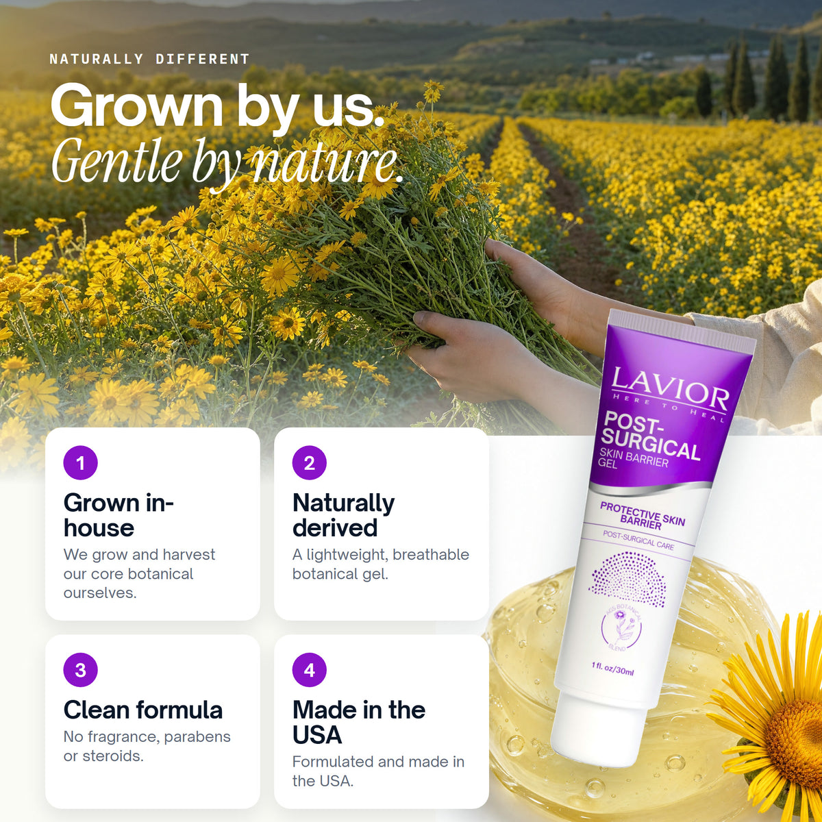 Lavior botanical field harvest: grown in-house, naturally derived, clean formula, made in the USA